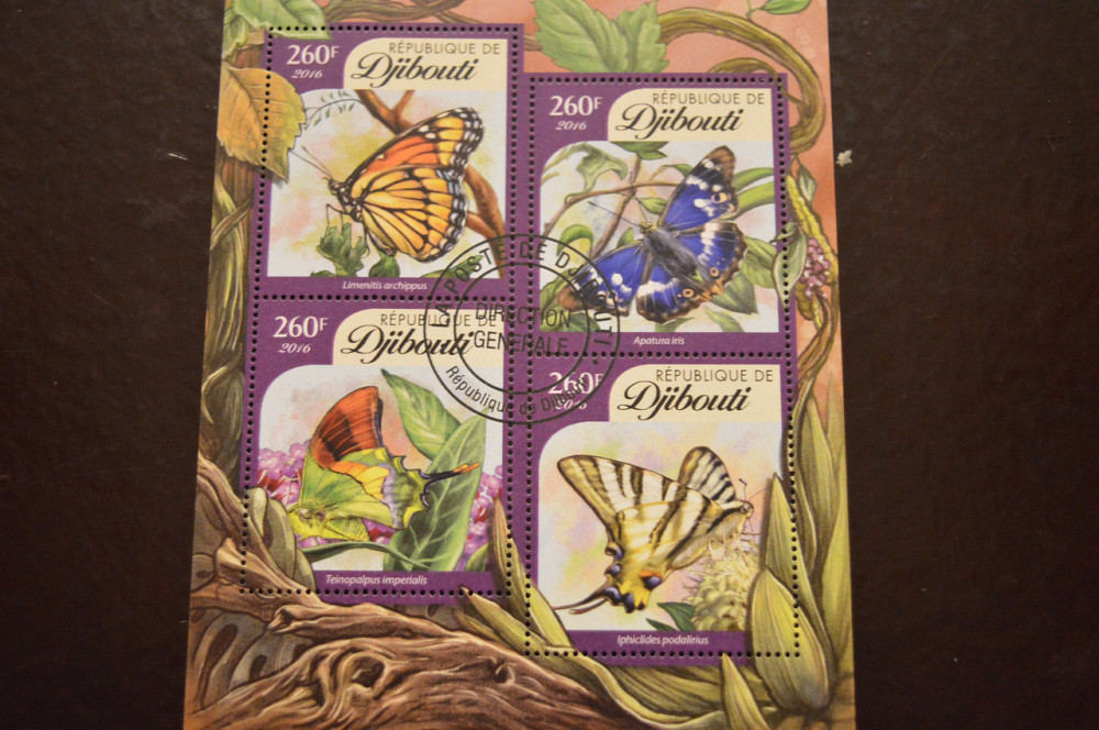 Джибути. Фауна. 2016 год Полтава - изображение 1