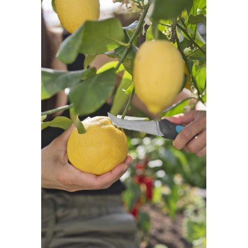 Ніж GARDENA VeggieCut для збирання врожаю Одеса - фото 6