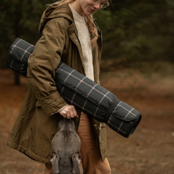 Килимок для подорожей для собак Harley and Cho Travel Roll-up Scotch: вологостійка підстилка для тварин (Оксфорд) L Одеса