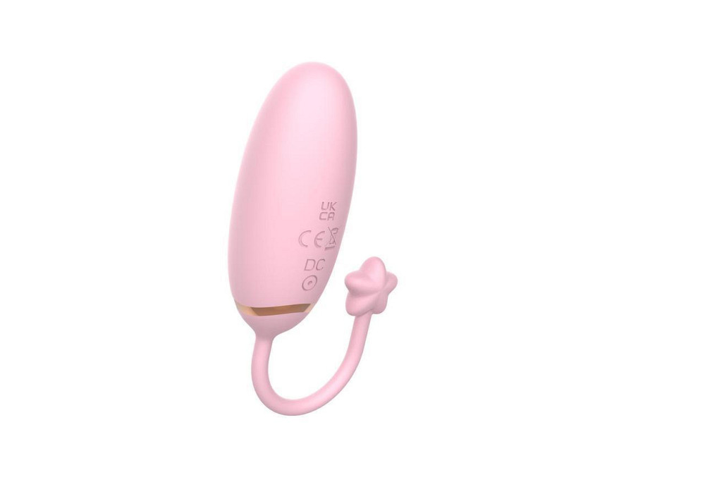 Віброяйце - Love Egg, APP 2.0 Sex Aura Київ - фото 3
