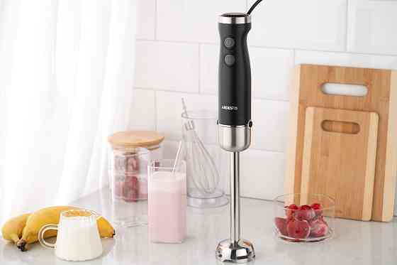 Блендер ARDESTO заглибний 600Вт, чаша-600мл, вінчик для взбивання, чорно-сріблястий Киев