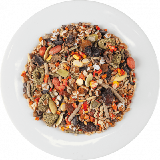 Полнорационный корм Спешиал Ван Special One для декоративных крыс, 500 г Винница