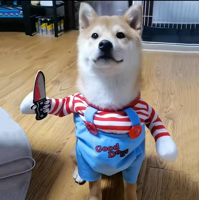 Костюм для домашніх тварин Чакі L на Хелловін різнокольоровий Київ - фото 1