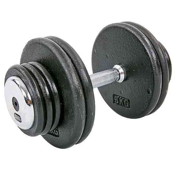 Гантель 30 кг цільна професійна RECORD-7231-30 Київ