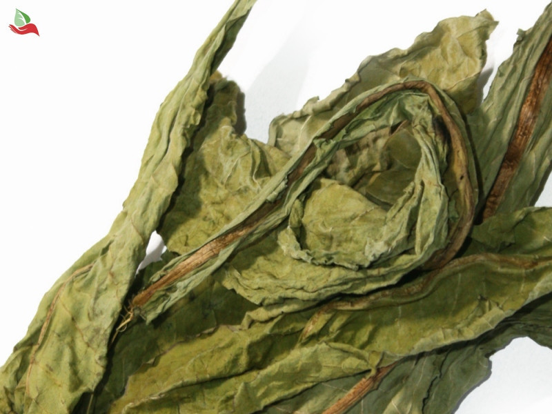 Кульбаба лікарська (лист) (Одуванчик лекарственный) 100г master sem Киев - изображение 2