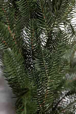 Штучна гірлянда Хвоя 2 м зелена, новорічна гірлянда лита реалістична Преміум KOS-HVO12 Київ