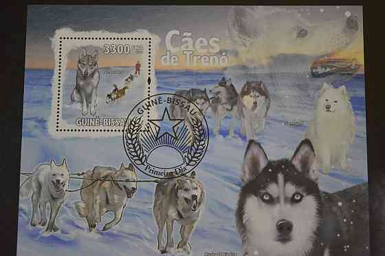 Гвінея - Бісау. Марки. Фауна. Блок. 2009 рік (В-5) Полтава