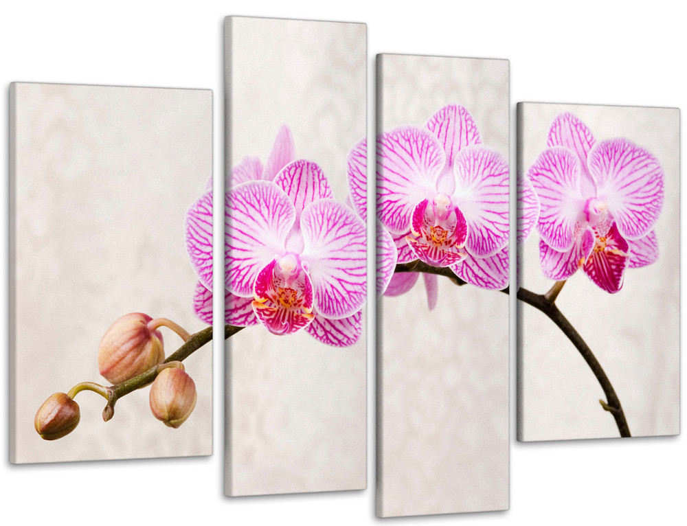 Модульна картина Квіти Орхідея Art-96_4 Київ - фото 1