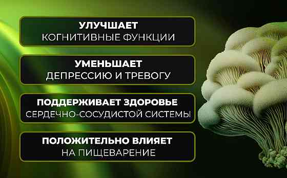 Екстракт левової гриви Sporter Lion's Mane 60 tabs Луцьк