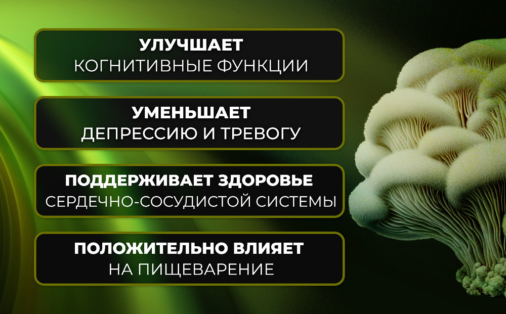 Екстракт левової гриви Sporter Lion's Mane 60 tabs Луцьк - фото 3