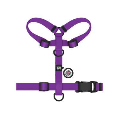 Шлей для собак WAUDOG Magnet анатомическая Н-образная с QR-паспортом, магнитная пряжка-фастекс S фиолетовая (26229) Винница