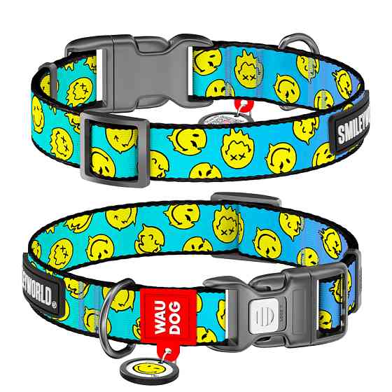 Нашийник для собак нейлоновий WAUDOG Nylon з QR-паспортом, малюнок "Смайли на блакитному", плас Коломыя