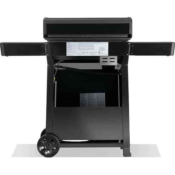 Газовый гриль-планча Napoleon Freestyle 24 черный F24DFTPK-UA Код: 013469 Ровно