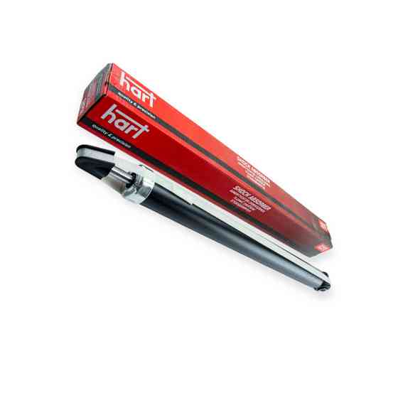 Амортизатор Форд Фокус II 04- задній Мукачево