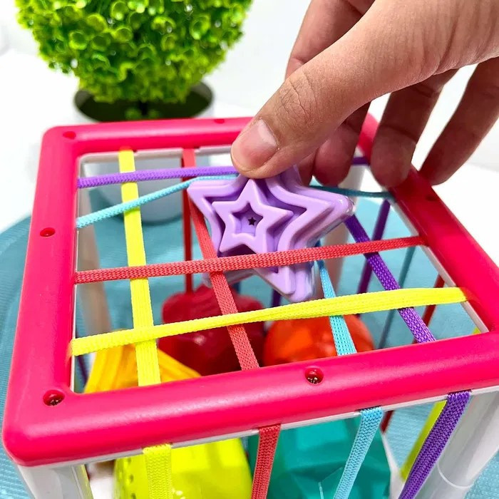 Сортер дитячий гумки на гранях 6 фігур-брязкальце (PLC488-PLC388) Чернигов - изображение 3