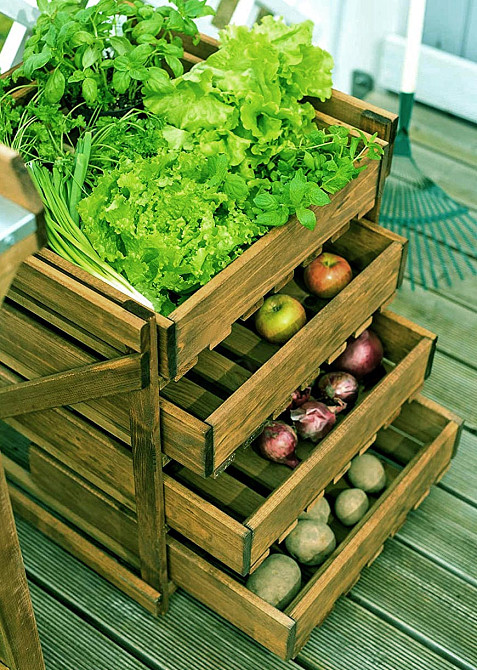 Стелаж для овочів і фруктів "Боксвуд" мускат Миколаїв - фото 1