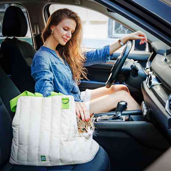 Сумка-переноска для котів і собак WAUDOG Relax Eco, 44*35*22 см, до 8 кг Київ