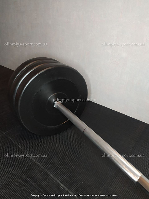 Штанга наборная + W-образный гриф + Гантели 128 кг Гантели, гири, штанги и диски ударопрочный пластик Киев - изображение 8