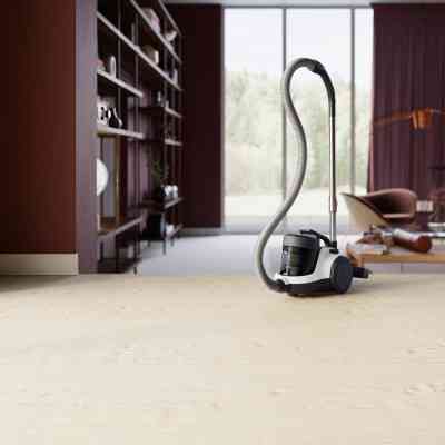 Пылесос Electrolux ECC21-2IW Винница