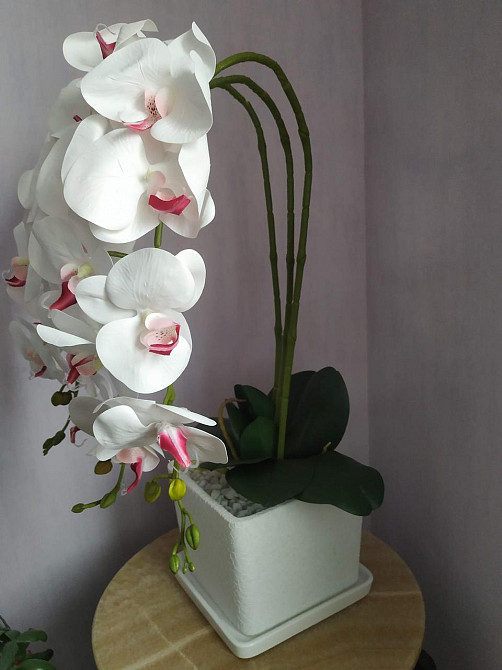 Штучна латексна орхідея VIP в білому керамічному кашпо на три гілки біла Дніпро - фото 9