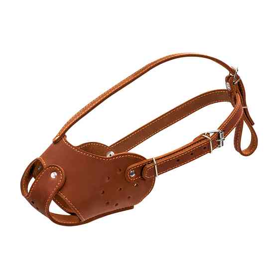 Намордник "CoLLaR" (бультер'єр) коричневий Коломия