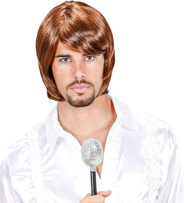 Мужской парик в стиле поп-звезды 70-х, коричневый, синтетические волосы для ретро образа Хэллоуина, косплей Киев - изображение 2