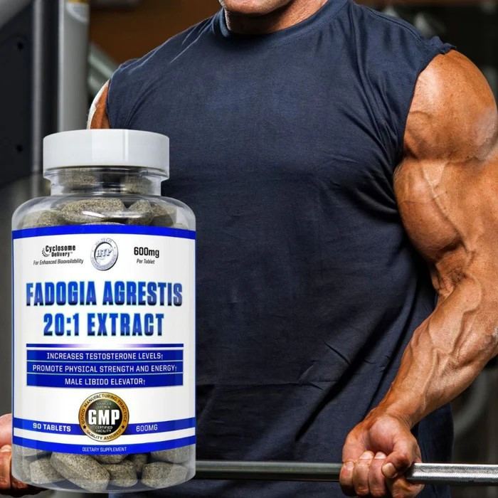 Фадогия Агрестис Hi-tech pharmaceuticals Fadogia Agrestis 20:1 Extract 600 mg 90 Tablets Луцк - изображение 3