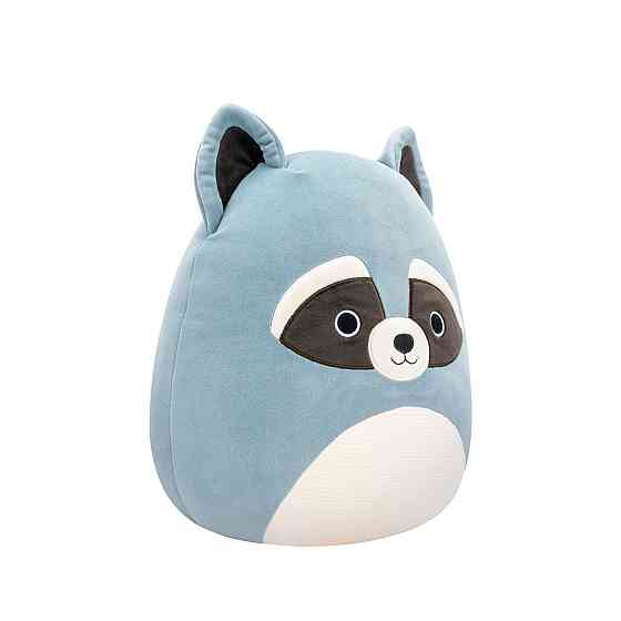 М'яка іграшка Squishmallows – Єнот Роккі (19 cm) Днепр