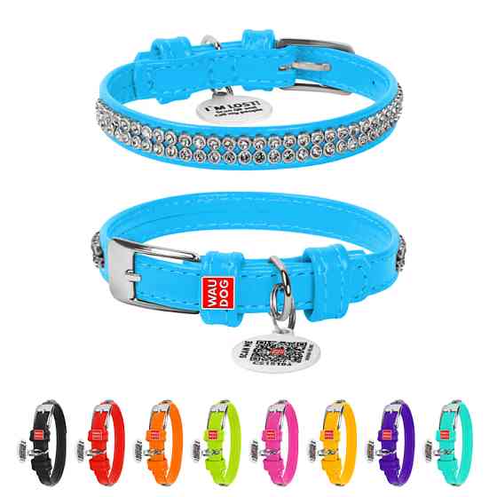 Нашийник для собак шкіряний WAUDOG Glamour з QR паспортом, з прикрасою "Полотно стрази", XXS, Ш Коломыя