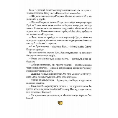 Книга Різдвяна Мишка в зимовій країні чудес. Адвент-календар - Фрідерун Райхенштеттер, Аліса Келін Vivat (9789669829351) Винница - изображение 7