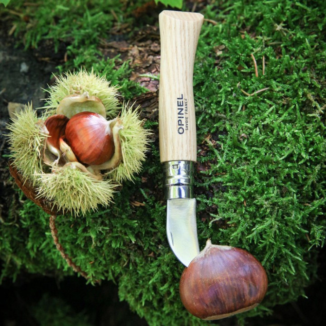 Кухонный Нож складной для каштанов и чеснока Opinel No.7 (002360) Нержавеющая сталь Нововолынск - изображение 8