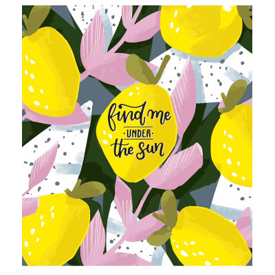 Тетрадь Школярик Find me under the sun 80 листов клетка (080-3129K) Винница - изображение 1