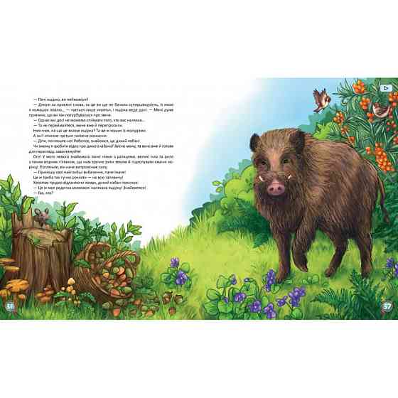 Дитяча книжка Хвости. Найперший детектив 253646, 40 сторінок Вінниця