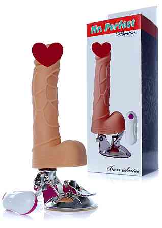Вибратор Mr. Perfect Vibration 12 functions Sex Aura Киев