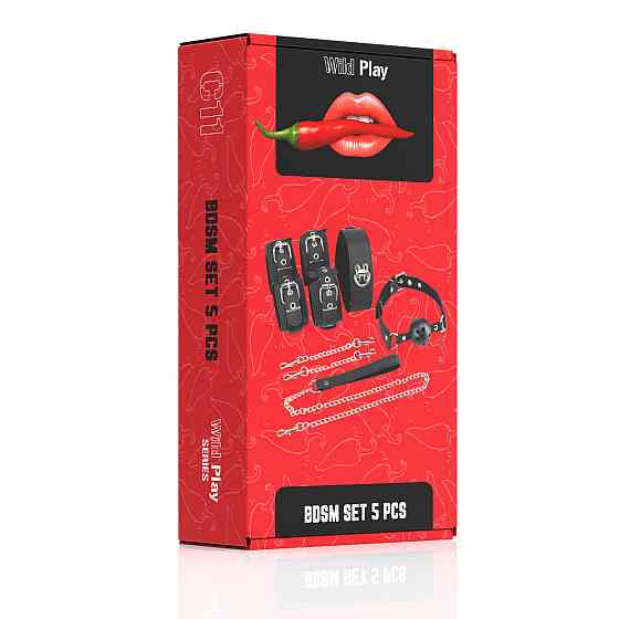 Набір БДСМ - Erospace Wild Play BDSM Set 5 pcs C11 Sex Aura Київ