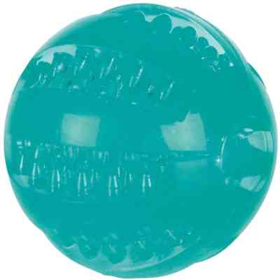 Іграшка для собак Trixie Denta Fun М'яч d 6 см (4011905336800) Вінниця