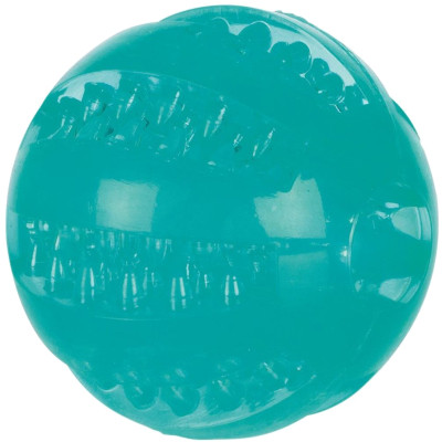 Игрушка для собак Trixie Denta Fun Мяч d 6 см (4011905336800) Винница - изображение 1