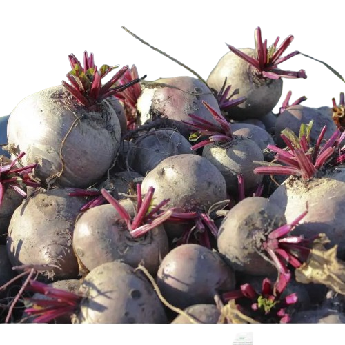 Буряк столовий Детройт круглий 5гр Професійне насіння Житомир - изображение 4