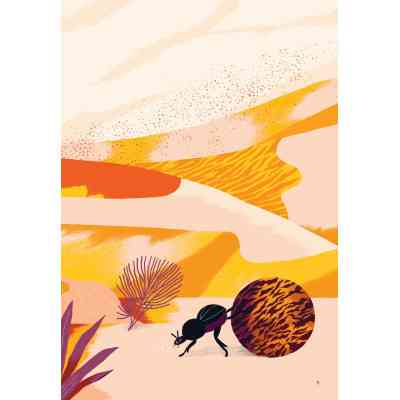 Книга Вітер - Анна Сковронська Yakaboo Publishing (9786178222444) Винница