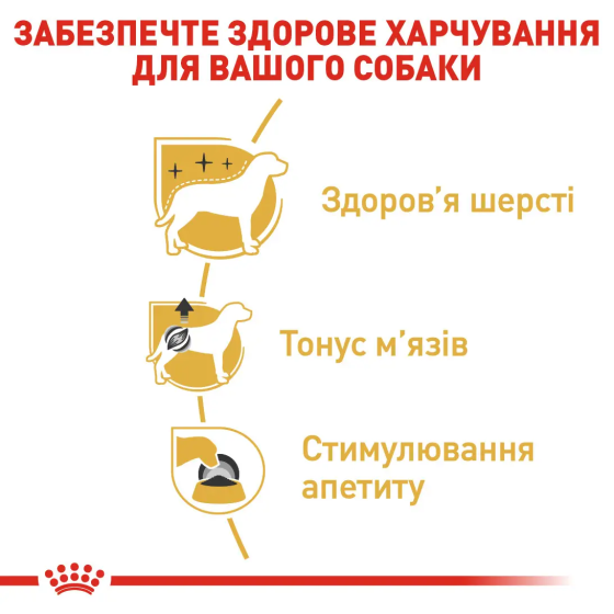 Вологий корм для собак Royal Canin Poodle Loaf (Роял Канін) паштет для породи Пудель 85 г. х 12 шт. Запоріжжя