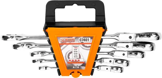 Набір ключів рожково-накидних Richmann з трещіткою шарнірні 5 шт 8-19 мм (C7401) Коломия