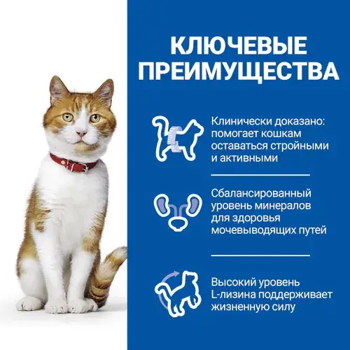 Hills Science Plan Feline Adult Sterilised (Хіллс Стерилізед Курка) корм для котів стерильних 1-6 років 15 кг. Запоріжжя