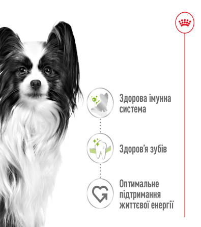 Сухой корм для взрослых собак мелких пород ROYAL CANIN XSMALL ADULT 1.5 кг Киев