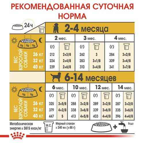 Royal Canin Labrador Retriever Puppy (Роял Канін Лабрадор Ретривер Паппі) сухий корм для цуценят Запоріжжя