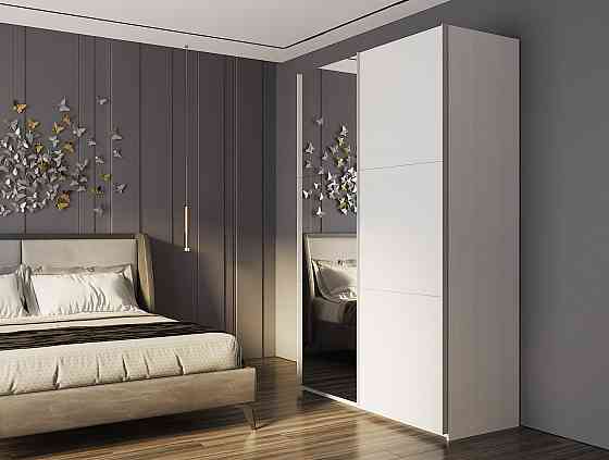 Шкаф-купе двухдверный Doros G-Caiser 160х60х240 см Белый/Зеркало (DRS-011011) Днепр