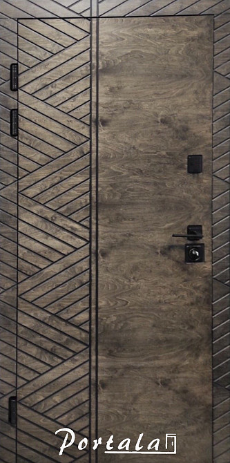 Двери уличные, ФАНЕРА,серия Премиум,  гнутый профиль, коробка 150 мм, полотно 105мм Киев - изображение 1