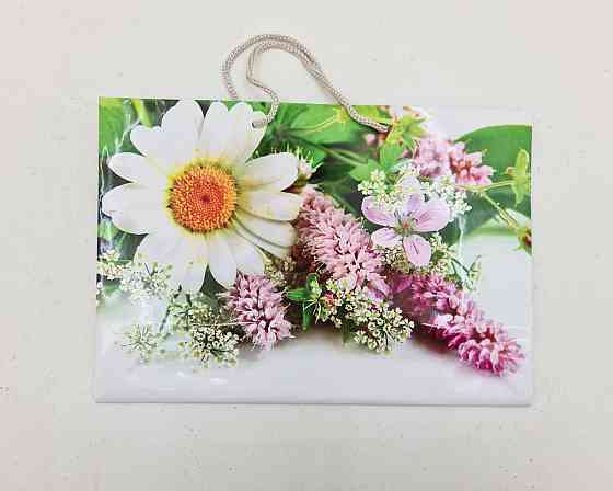 Бумажный большой горизонтальный пакет  36/22/10(артBG-086) (12 шт) Харьков