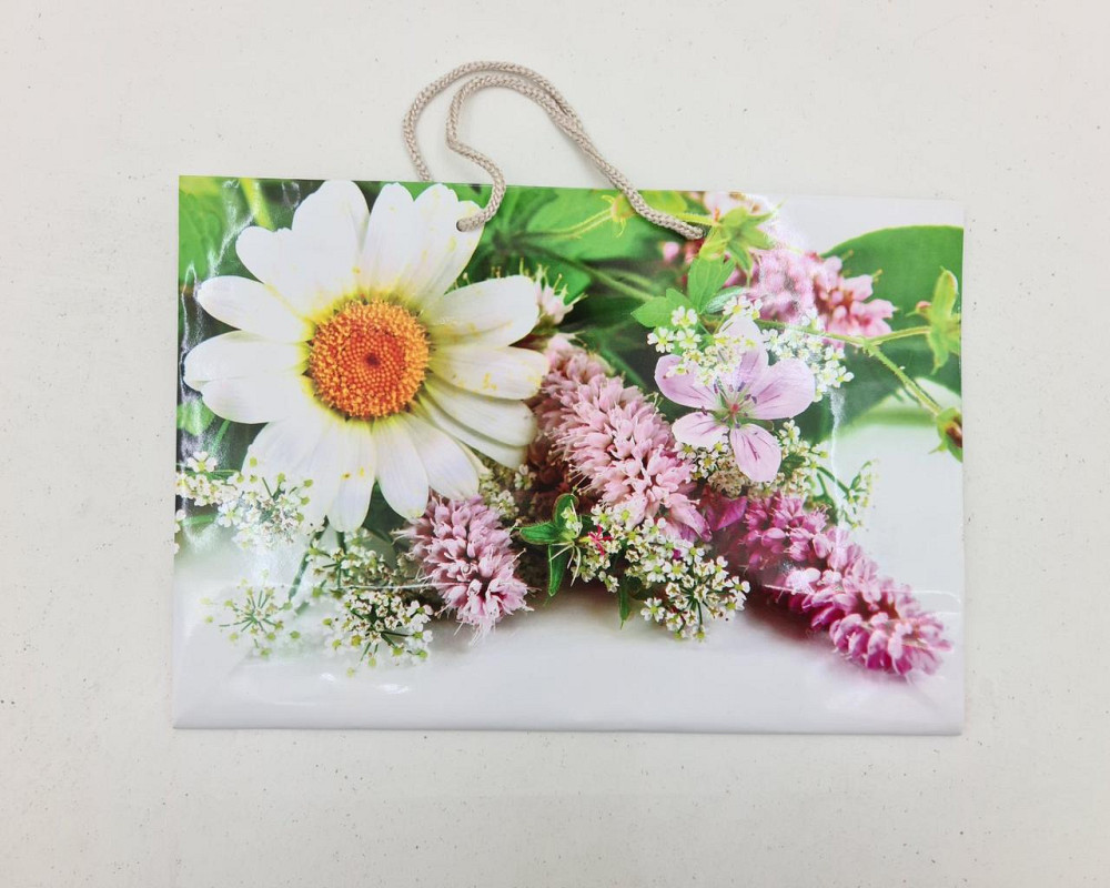 Бумажный большой горизонтальный пакет  36/22/10(артBG-086) (12 шт) Харьков - изображение 2