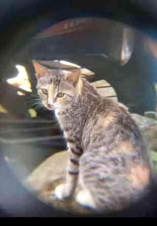 Бинокль мощный 500 Київ