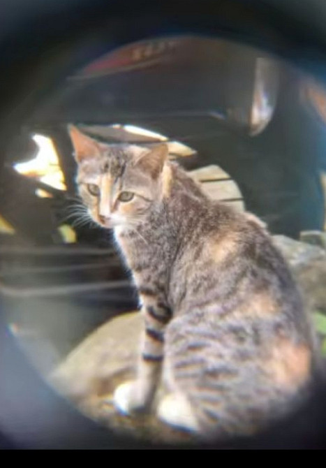 Бинокль мощный 500 Київ - фото 2